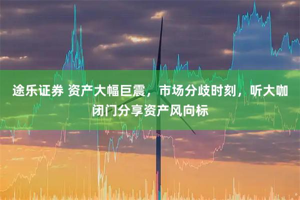 途乐证券 资产大幅巨震，市场分歧时刻，听大咖闭门分享资产风向标