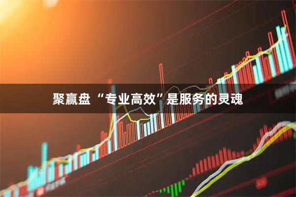 聚赢盘 “专业高效”是服务的灵魂