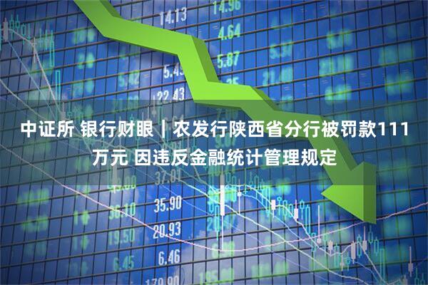 中证所 银行财眼｜农发行陕西省分行被罚款111万元 因违反金融统计管理规定