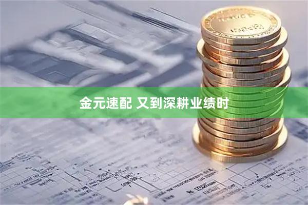 金元速配 又到深耕业绩时