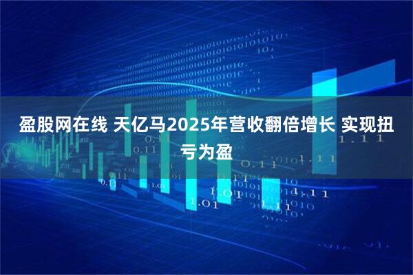 盈股网在线 天亿马2025年营收翻倍增长 实现扭亏为盈