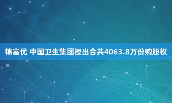 锦富优 中国卫生集团授出合共4063.8万份购股权