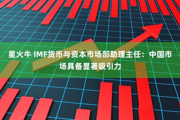 星火牛 IMF货币与资本市场部助理主任：中国市场具备显著吸引力