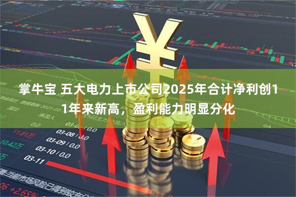掌牛宝 五大电力上市公司2025年合计净利创11年来新高，盈利能力明显分化