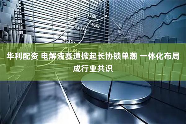华利配资 电解液赛道掀起长协锁单潮 一体化布局成行业共识