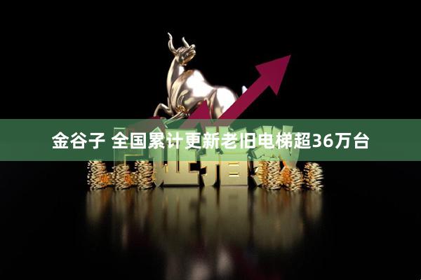 金谷子 全国累计更新老旧电梯超36万台