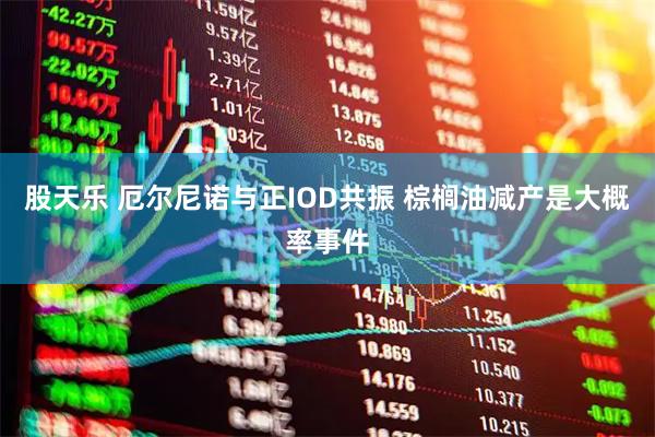 股天乐 厄尔尼诺与正IOD共振 棕榈油减产是大概率事件