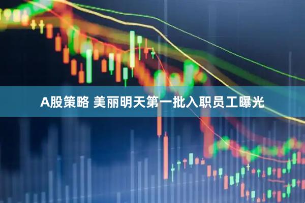 A股策略 美丽明天第一批入职员工曝光